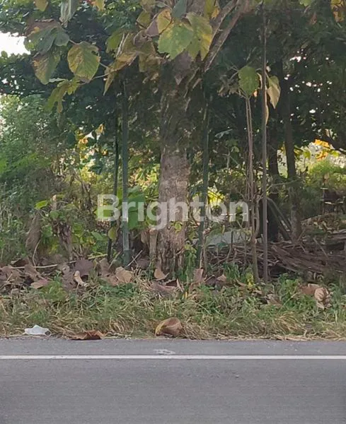 TANAH NOL JALAN RAYA PROVINSI CEPU DAN BLORA, COCOK UNTUK GUDANG, PABRIK, DAN USAH LAIN, SAMBONG