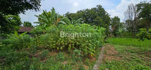 image JUAL TANAH SIAP BANGUN DI UNGARAN TIMUR, 2 MENIT KE PINTU TOL (1)