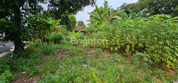 image JUAL TANAH SIAP BANGUN DI UNGARAN TIMUR, 2 MENIT KE PINTU TOL (4)