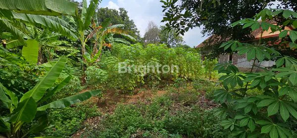 image JUAL TANAH SIAP BANGUN DI UNGARAN TIMUR, 2 MENIT KE PINTU TOL (2)