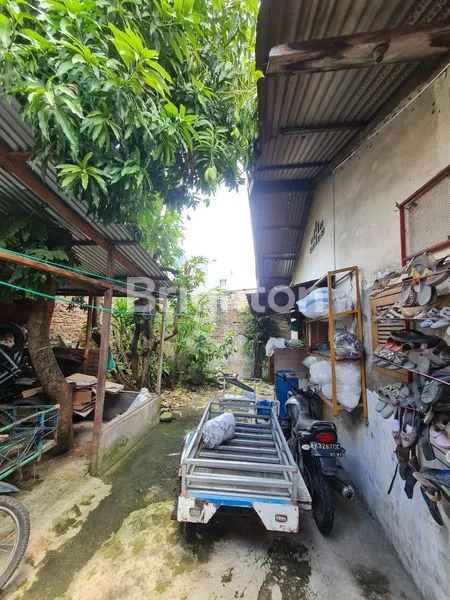 image SEBIDANG TANAH  (5)