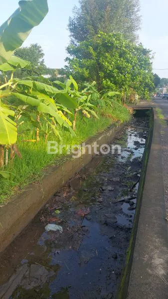 image *DIJUAL TANAH PREMIUM WARIBANG * (3)