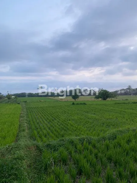 image TANAH DENGAN VIEW GUNUNG DAN PANTAI SELUAS 49,9 ARE DI DESA PANGYANGAN JEMBRANA BALI (1)