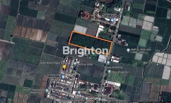 image TANAH DI KOTA BLITAR (1)
