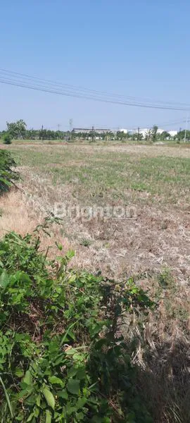 image TANAH AREA PUSKESMAS SUKOSARI MADIUN (3)