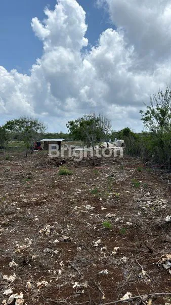 image LAHAN TEBING VIEW SAMUDRA SELATAN LAUT JAWA DI ULUWATU, BALI (4)