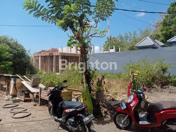 image TANAH LUAS 1,24 ARE DI KUTUH-KAMPIAL LOKASI DEKAT VILLA-VILLA (3)