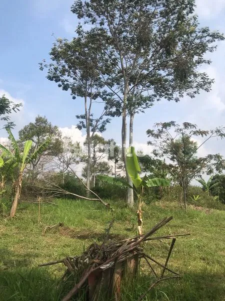 image TANAH DEKAT KAMPUS 2 UIN MALANG COCOK UNTUK DI BANGUN USAHA KOSAN (2)