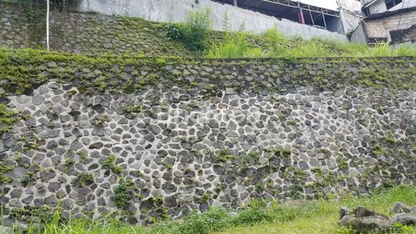 image LAHAN BAGUS.SUPER KOMERSIL.PAJAJARAN.BOGOR (4)