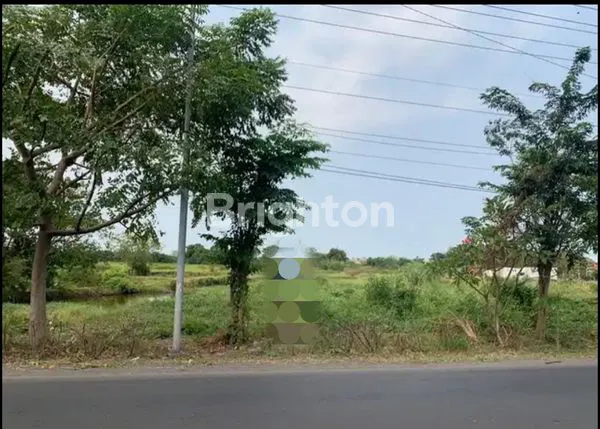 image TANAH NOL JALAN RAYA DI LINGKAR TIMUR (1)