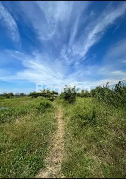 image TANAH NOL JALAN RAYA DI LINGKAR TIMUR (2)