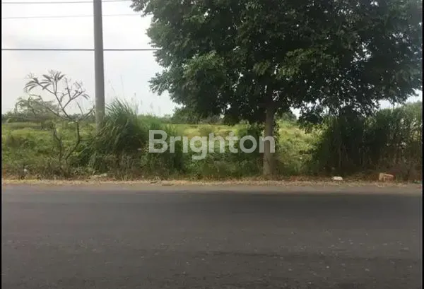 image TANAH NOL JALAN RAYA DI LINGKAR TIMUR (3)