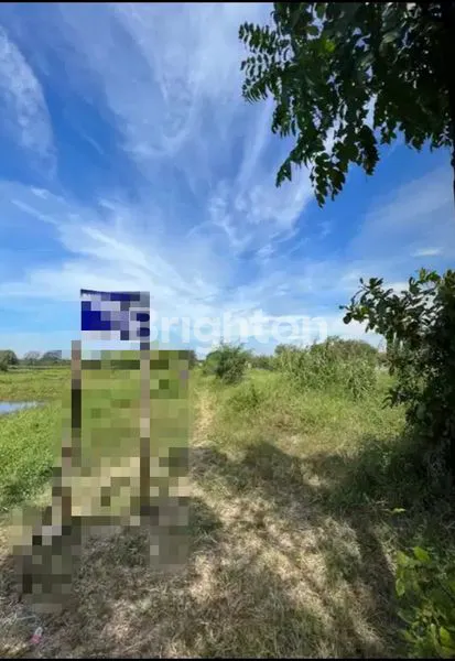 image TANAH NOL JALAN RAYA DI LINGKAR TIMUR (5)