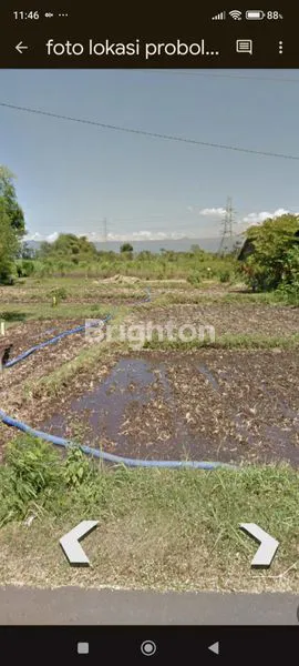 image TANAH PERUMAHAN DI KRAJAN, SUMBERKARE, WONOMERTO, PROBOLINGGO (1)