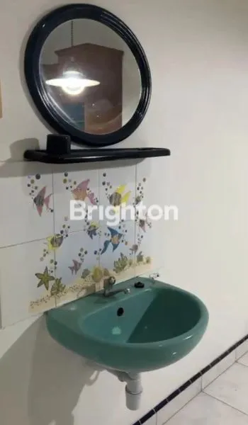 image RUMAH KENARI (5)