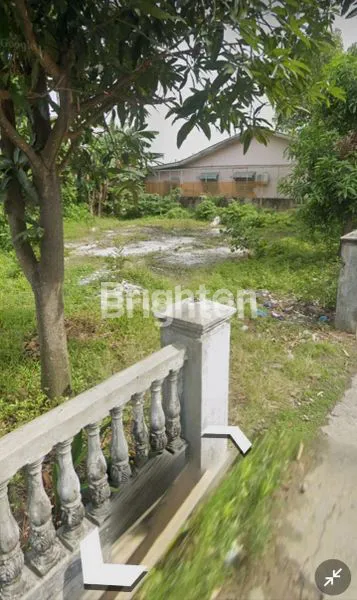 image TANAH KEBUN DALAM KOTA (4)