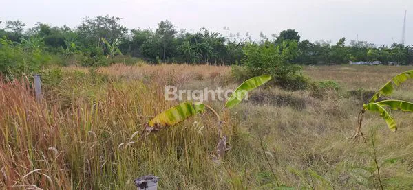 image TANAH KAVLING SIAP BANGUN DI TEGAL  (3)