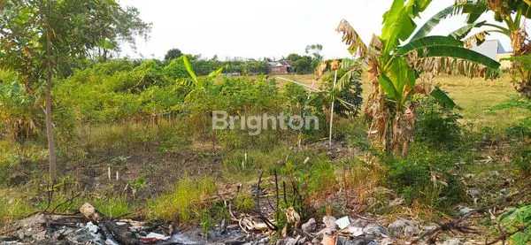 image TANAH KAVLING SIAP BANGUN DI TEGAL  (2)