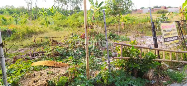 image TANAH KAVLING SIAP BANGUN DI TEGAL  (4)