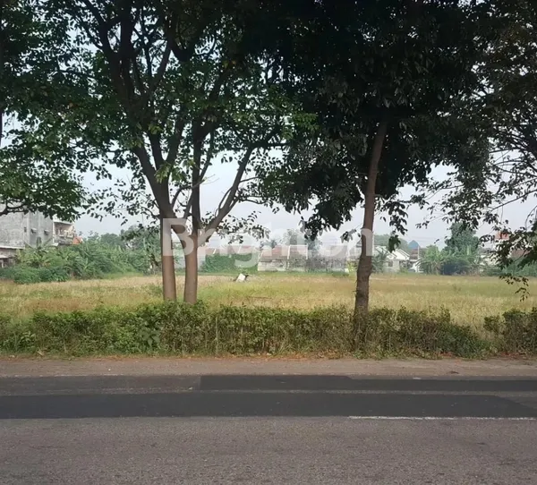 image TANAH NOL JALAN RAYA LINGKAR TIMUR SIAP BANGUN DEKAT SINAR BUDURAN (1)