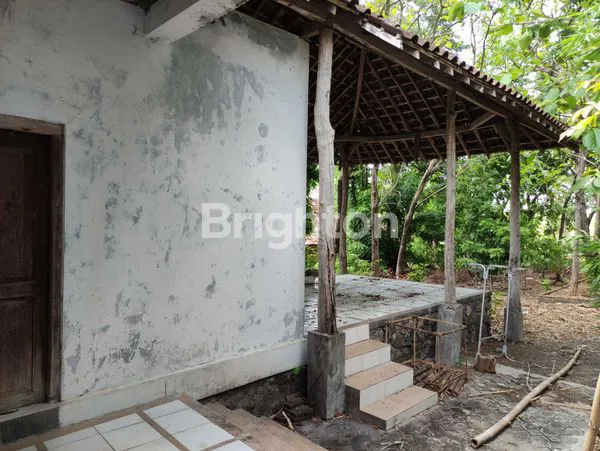 image SEBIDANG TANAH BONUS RUMAH JOGLO, AREA MOJOPURNO BERSEBELAHAN PERUMAHAN ELWANA (3)