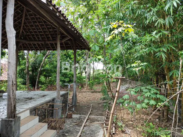 image SEBIDANG TANAH BONUS RUMAH JOGLO, AREA MOJOPURNO BERSEBELAHAN PERUMAHAN ELWANA (4)