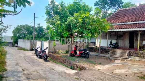 image SEBIDANG TANAH BONUS RUMAH JOGLO, AREA MOJOPURNO BERSEBELAHAN PERUMAHAN ELWANA (5)