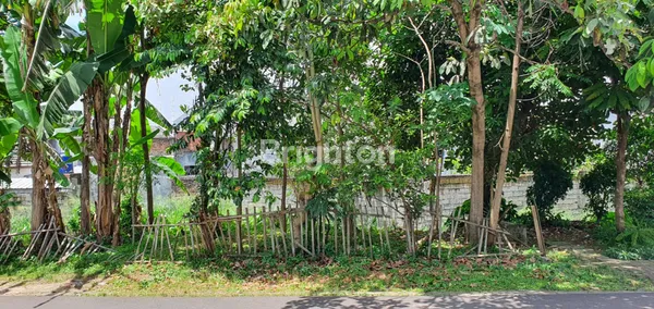 image RUMAH 1.5 LANTAI DI HOEK TANAH LUAS DI LINGKUNGAN NYAMAN DAN TENANG DI JALAN BUDI (6)