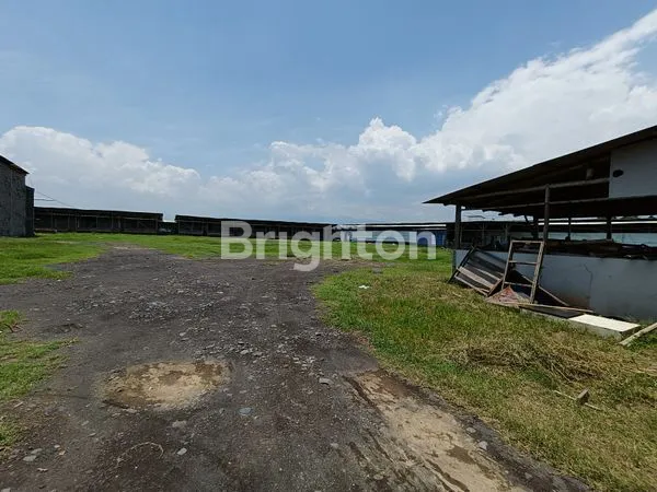 image RUKO,CAFE,PETERNAKAN,GUDANG STRATEGIS (4)