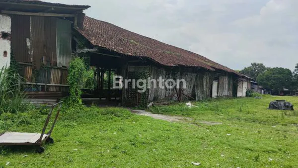 image TANAH SEWA MALANG KOTA (8)