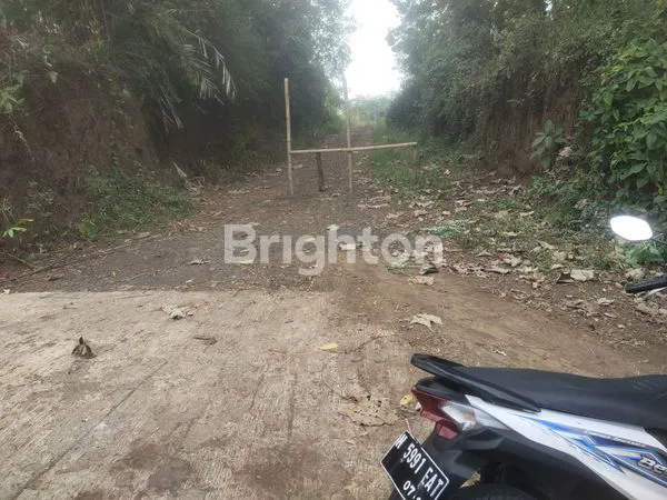 image TANAH MURAH DEKAT MILKINDO ,STADION KANJURUHAN TEGALSARI KEPANJEN. (3)