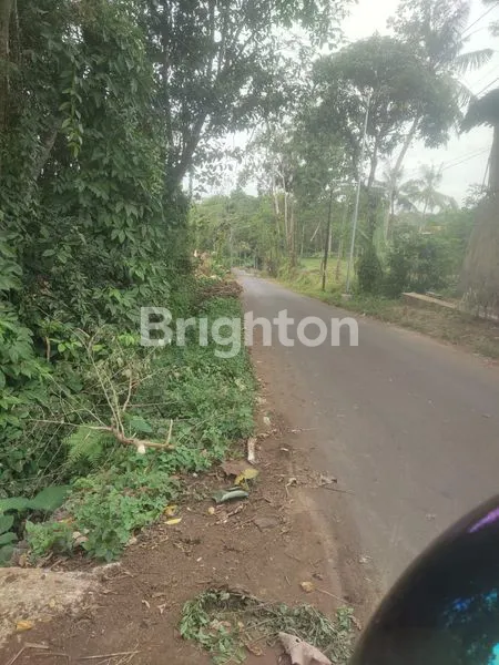 image TANAH MURAH DEKAT MILKINDO ,STADION KANJURUHAN TEGALSARI KEPANJEN. (2)