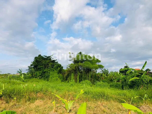 TANAH DAERAH PENATIH