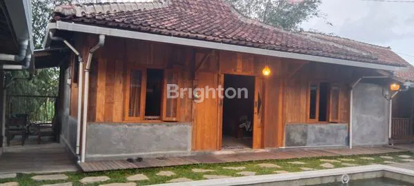 image KOSAN ELIT 11 KAMAR UNIK NUANSA KAYU  (1)