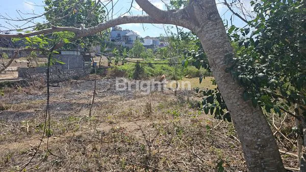 image TANAH KAVLING PREMIUM 600 JUTA DI GOA GONG JIMBARAN BALI (8)