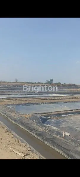 image DIJUAL TAMBAK GARAM (1)