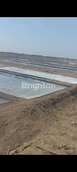 image DIJUAL TAMBAK GARAM (2)