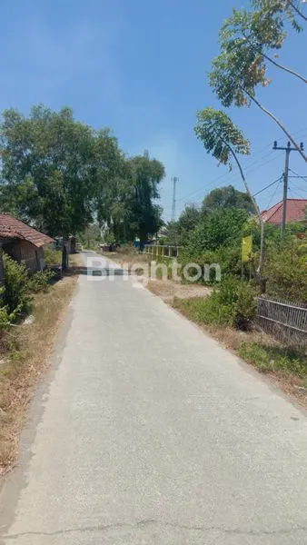 image DIJUAL TAMBAK GARAM (3)