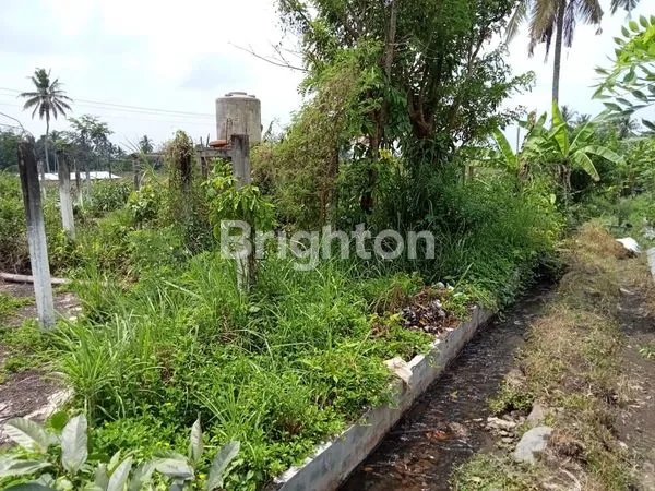 image SANGAT MURAH, DISEWAKAN TANAH PINGGIR JALAN RAYA CANDIBINANGUN PAKEM, BELAKANG KAMPUS UII KALIURANG (5)