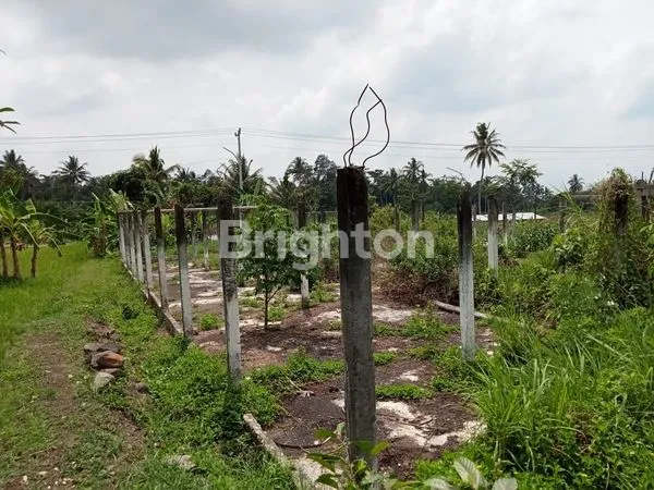 image SANGAT MURAH, DISEWAKAN TANAH PINGGIR JALAN RAYA CANDIBINANGUN PAKEM, BELAKANG KAMPUS UII KALIURANG (4)