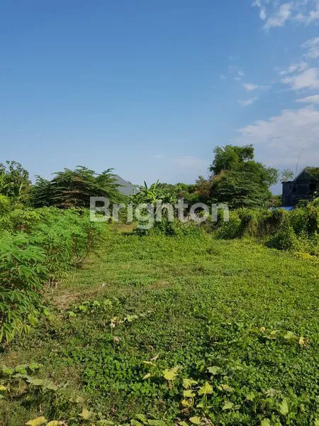 image TANAH JABON SIDOARJO 5 MENIT KE JALAN BESAR (2)