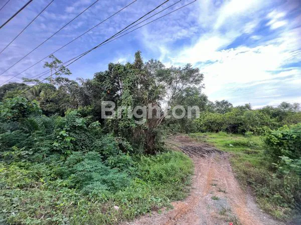 image DI JUAL TANAH RING 2 IKN (3)