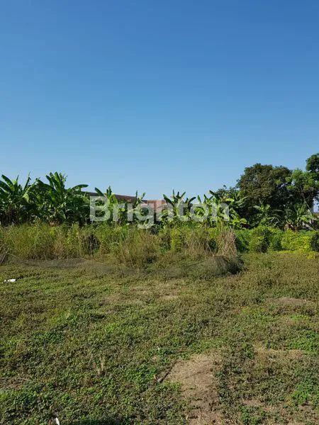 image TANAH SIAP BANGUN GUDANG ATU PERUMAHAN (4)