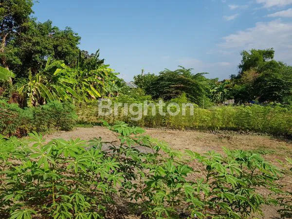 image TANAH SIAP BANGUN GUDANG ATU PERUMAHAN (3)