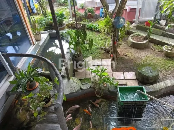 image TAMAN CIMANGGU RUMAH TUMBUH 1 LANTAI (3)
