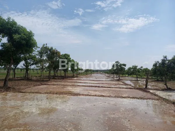 image TANAH SAWAH DEKAT BANDARA KERTAJATI MAJALENGKA (1)