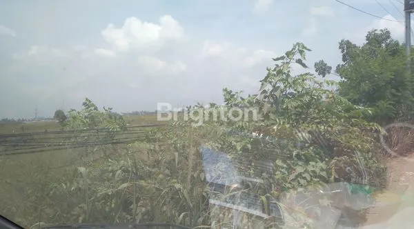 image JUAL TANAH DI BABELAN (2)