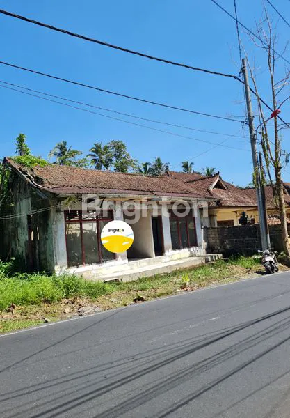 image TANAH STRATEGIS PINGGIR JALAN, TEGALLALANG GIANYAR BALI (HITUNG TANAH SAJA) (1)