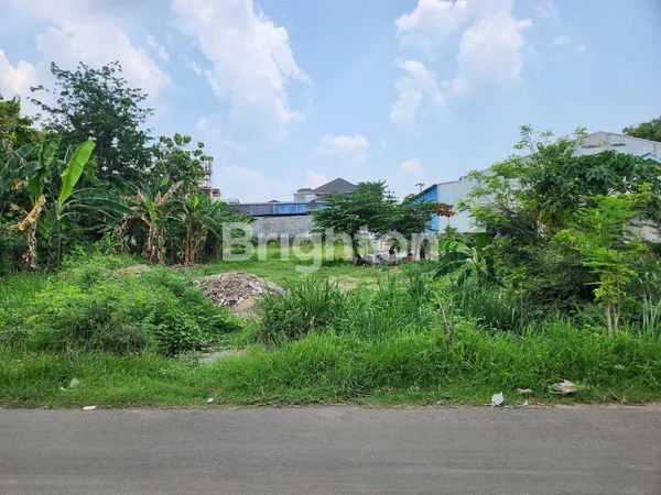 image TANAH KOSONG DI MOJOSONGO (3)