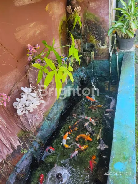 image RUMAH SIAP HUNI NYAMAN DAN STRATEGIS DAERAH GENDENG BANGUNJIWO BANTUL (8)